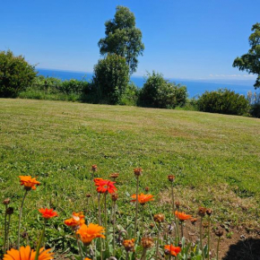 CASA VISTA LAGO PUERTO VARAS - acceso al lago